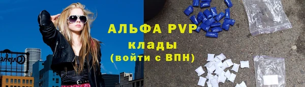 мдпв Пестово