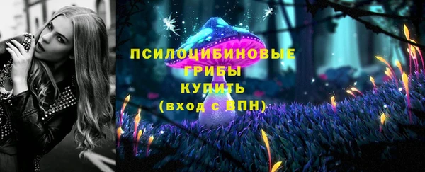 мдпв Пестово
