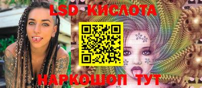 шишки Можга