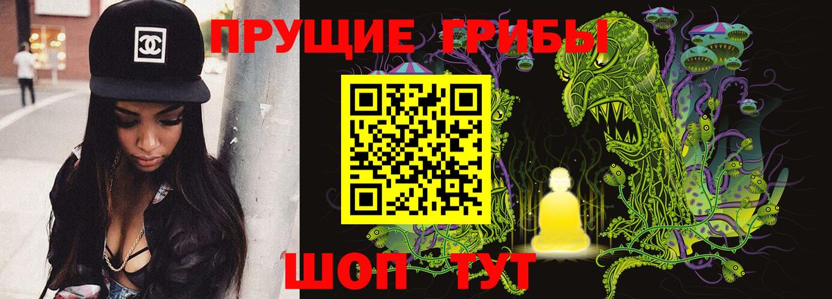 Галлюциногенные грибы Cubensis  Буйнакск 