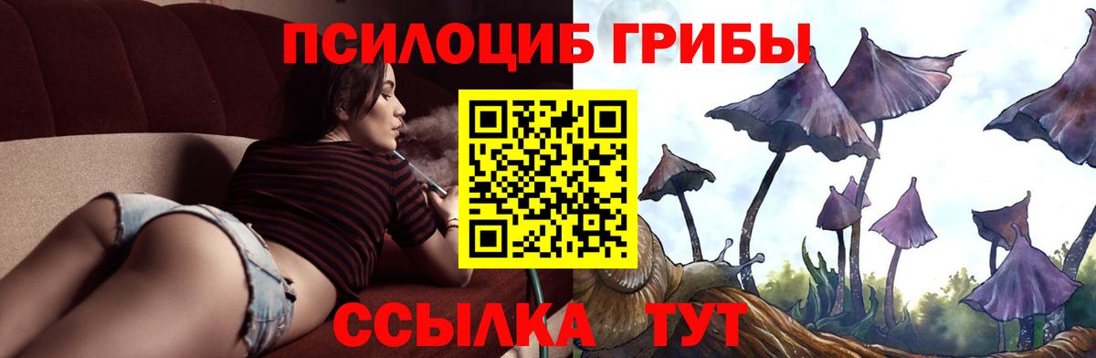 Галлюциногенные грибы мицелий Буйнакск